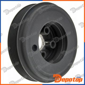 Poulie damper vilebrequin pour VW | RKP-WW-005, 10252